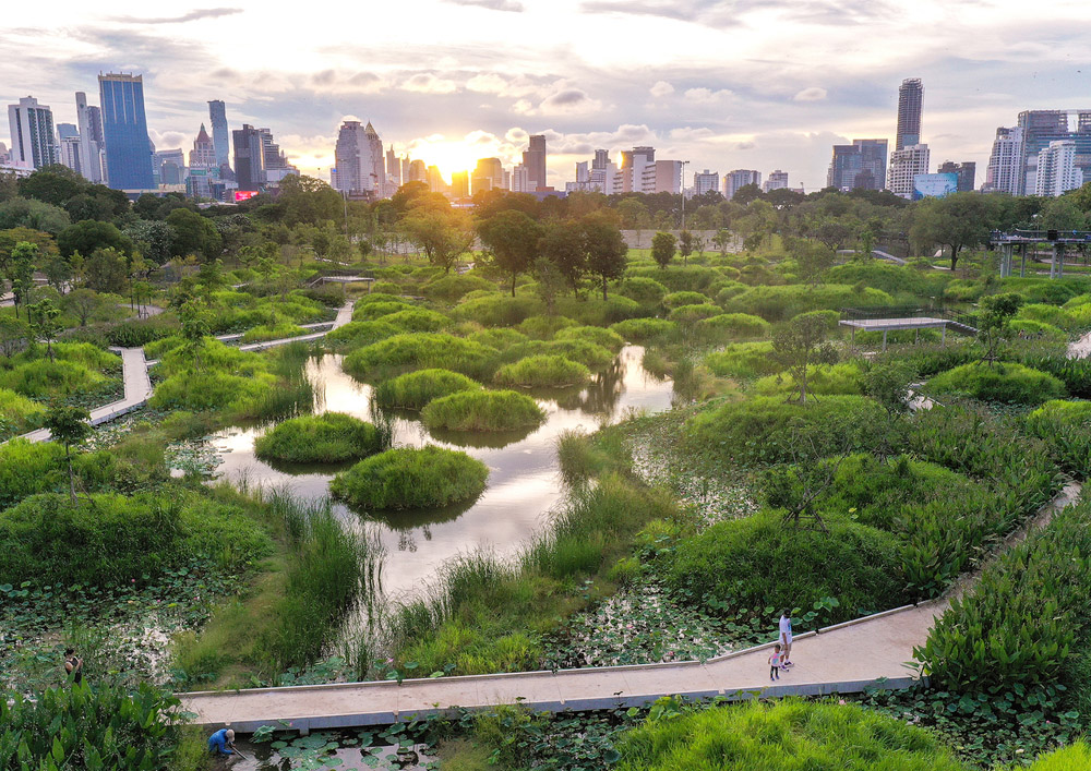 6 پروژه موفق پارک شهر که کانون تنوع زیستی هستند